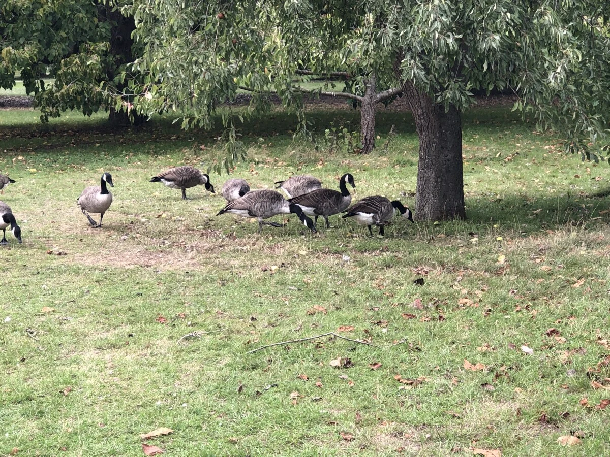 2025-London-Londen-伦敦